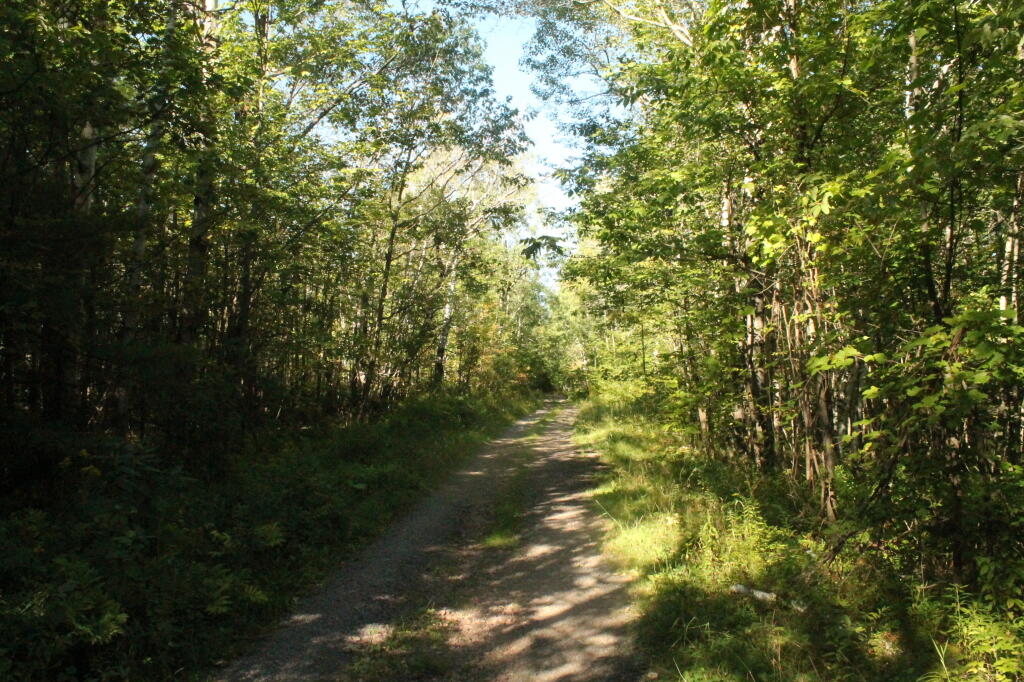 Photo: Rivenburg Road Opens Up