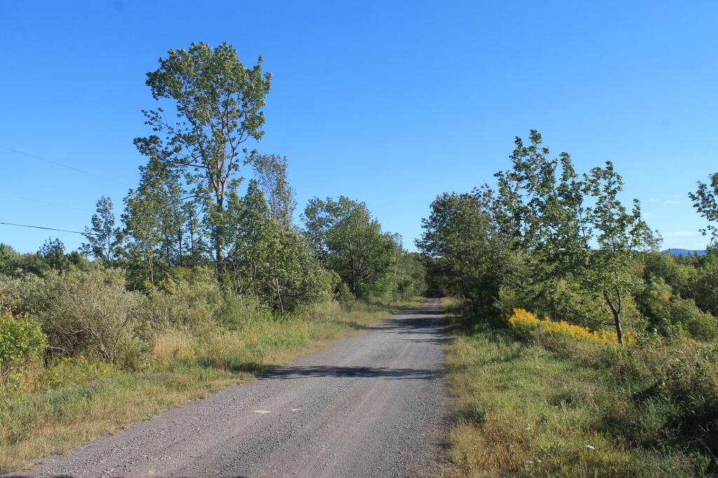 Photo: Scutt Road Photo: Scutt Road
