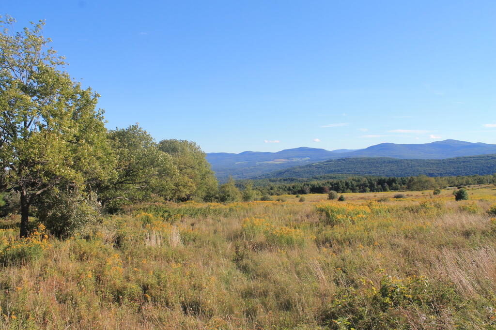 Photo: Catskills from Cheese Hill Photo: Catskills from Cheese Hill