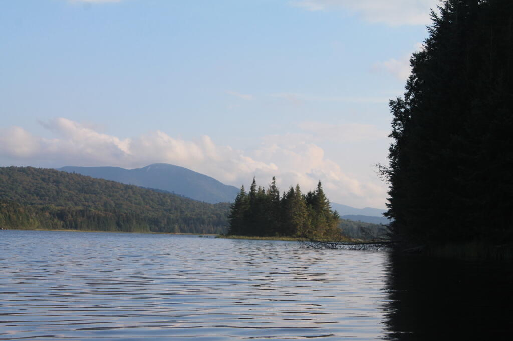 Photo: Island Photo: Island