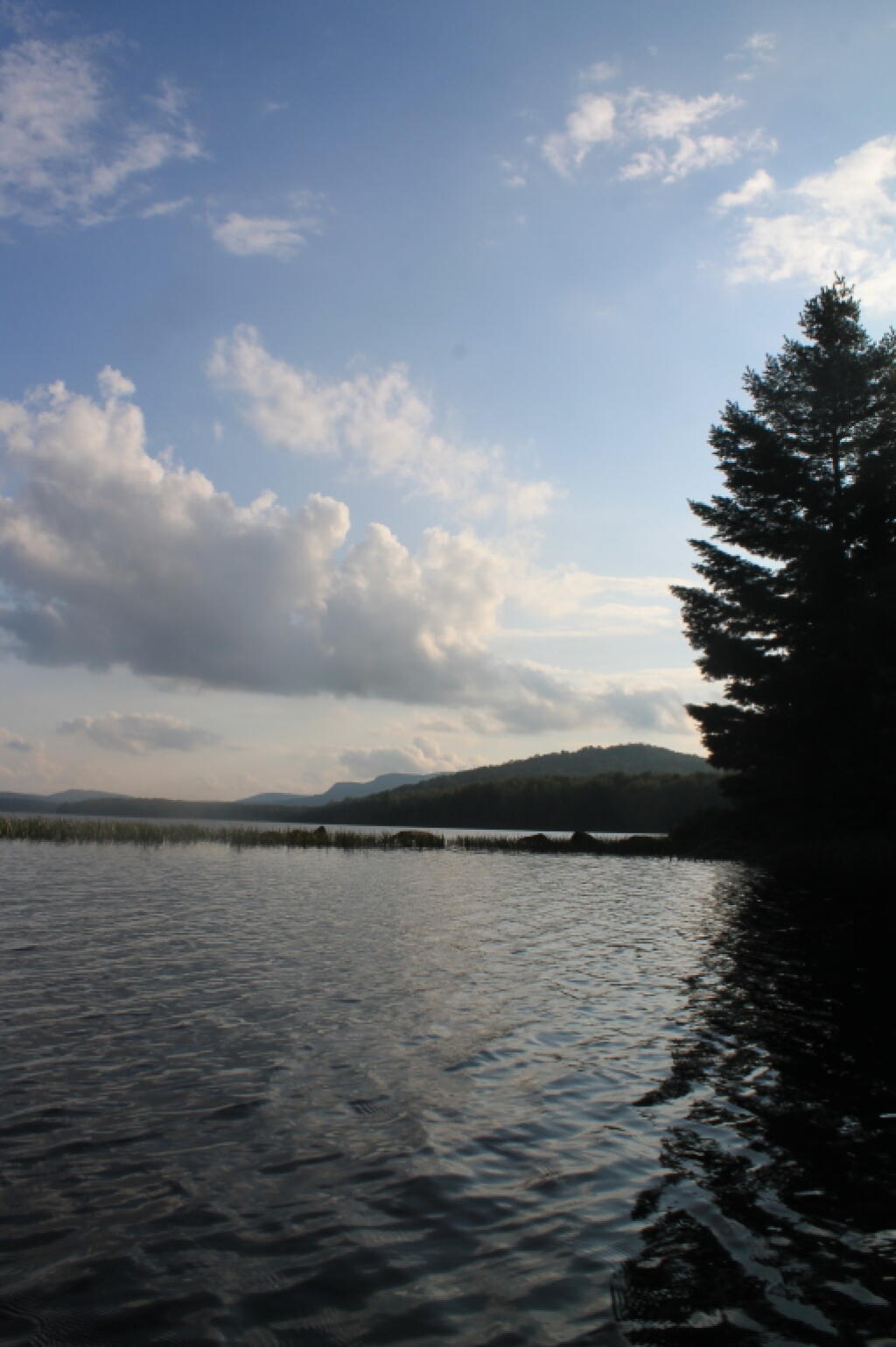 Photo: Shadows Over Sturges Hills Photo: Shadows Over Sturges Hills