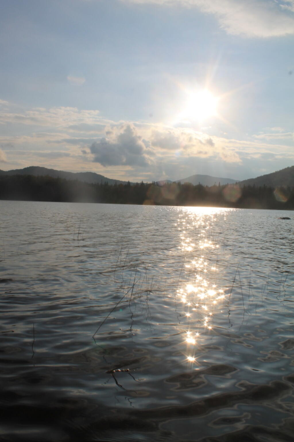 Photo: Sparkles