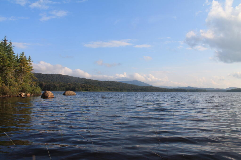 Photo: Cedar River Flow Past the Island