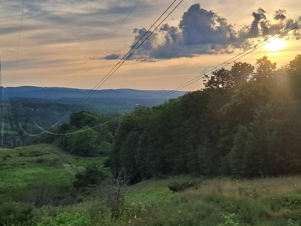 Photo: Powerline Cut Along County Route 1