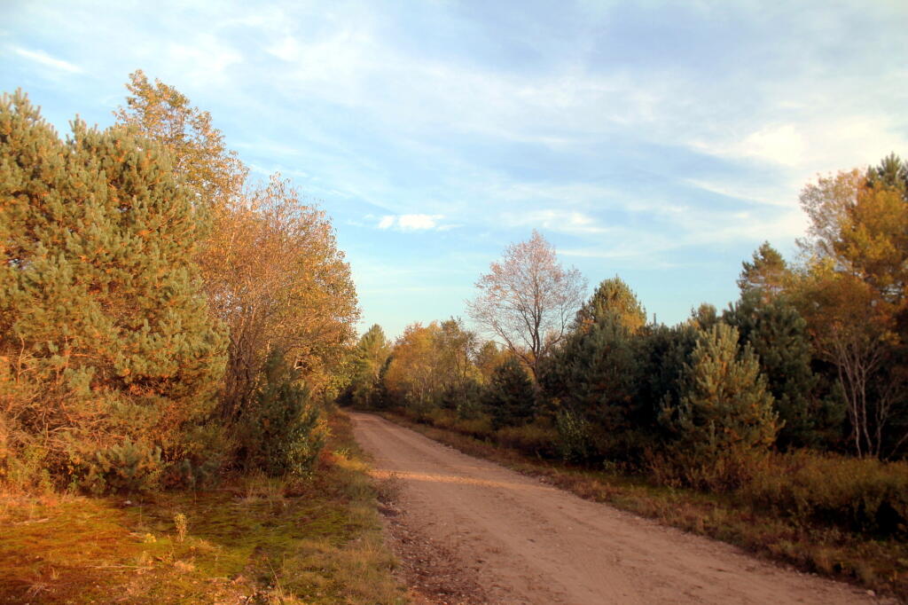 Photo: Confusion Flats Road Photo: Confusion Flats Road
