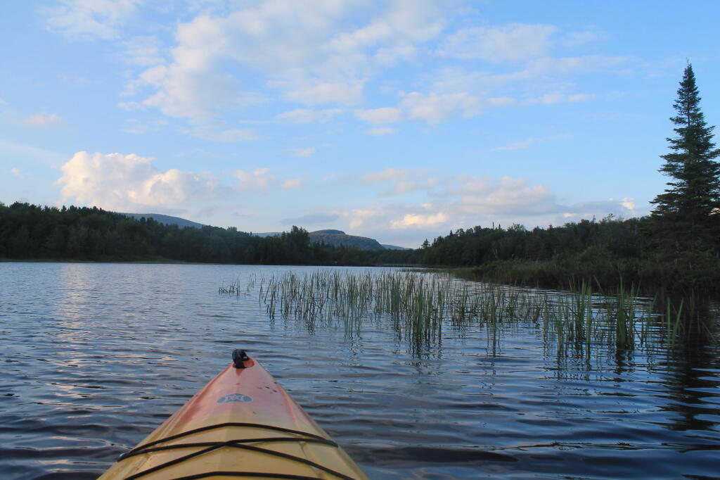 Photo: Paddling