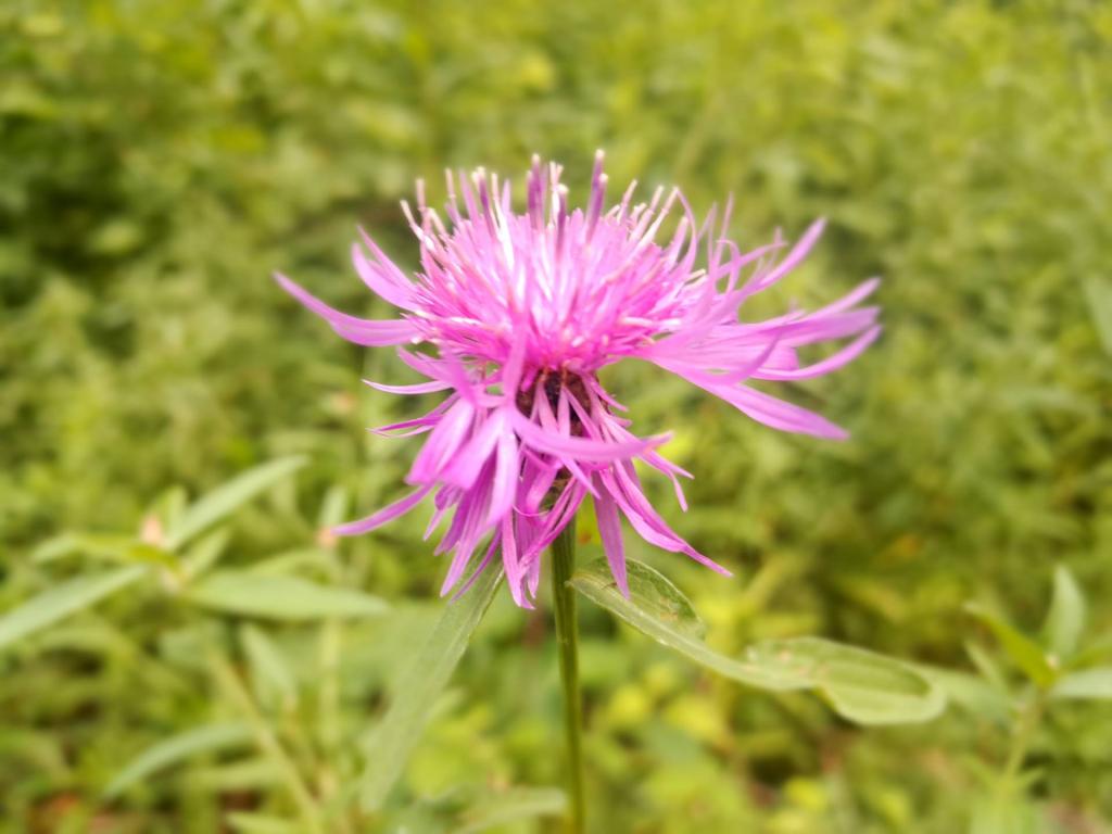 Photo: Untitled Photo: Untitled