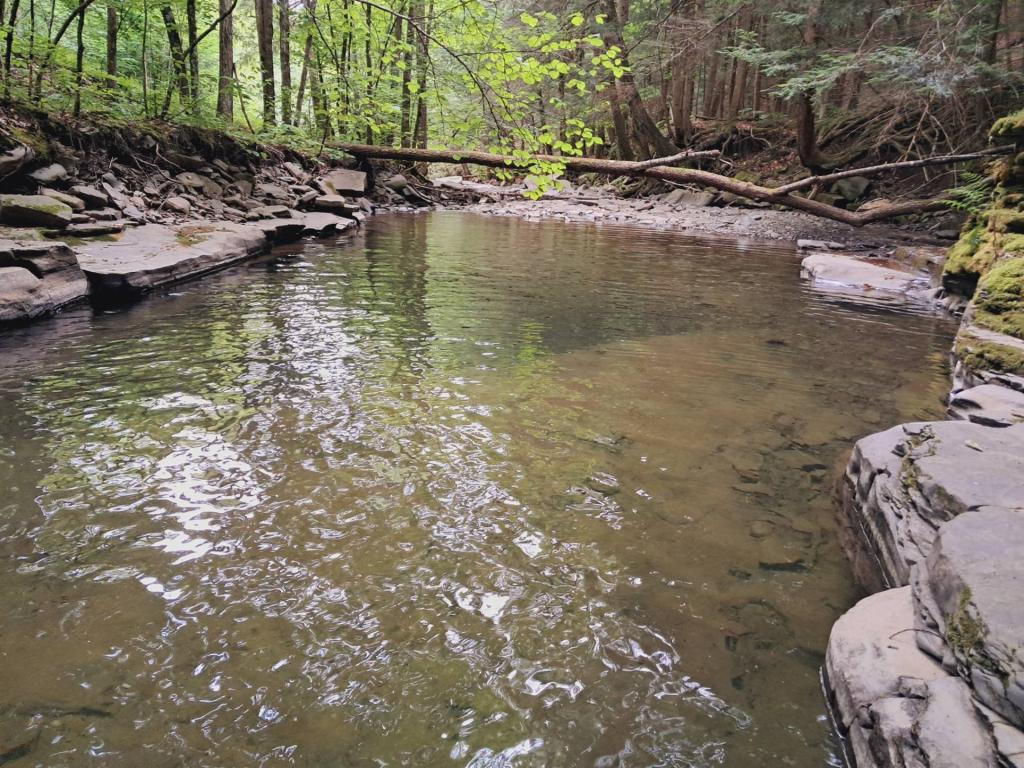 Photo: Pools Along the Switz KIll Photo: Pools Along the Switz KIll