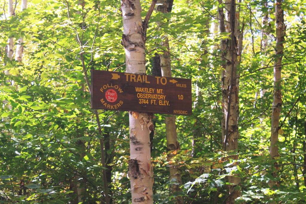 Photo: Now Its Time for Real Climbing Photo: Now Its Time for Real Climbing
