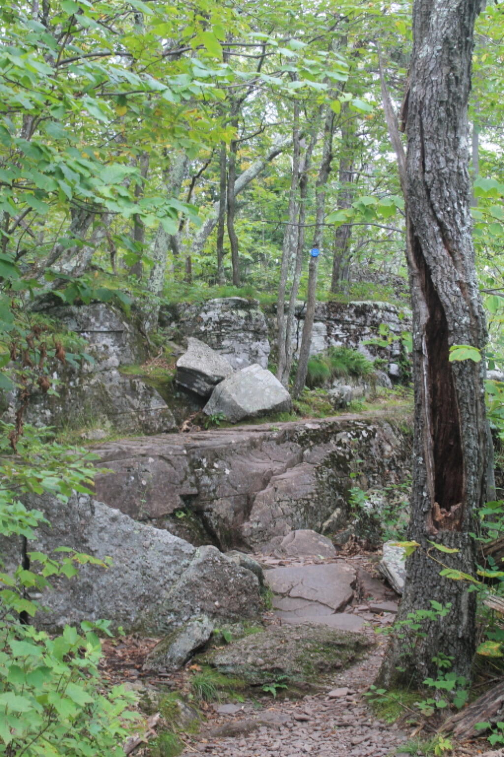 Photo: Climbing