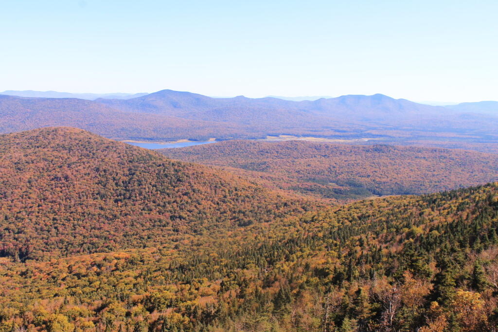 Photo: Cedar River Flow and Moose Plains Photo: Cedar River Flow and Moose Plains