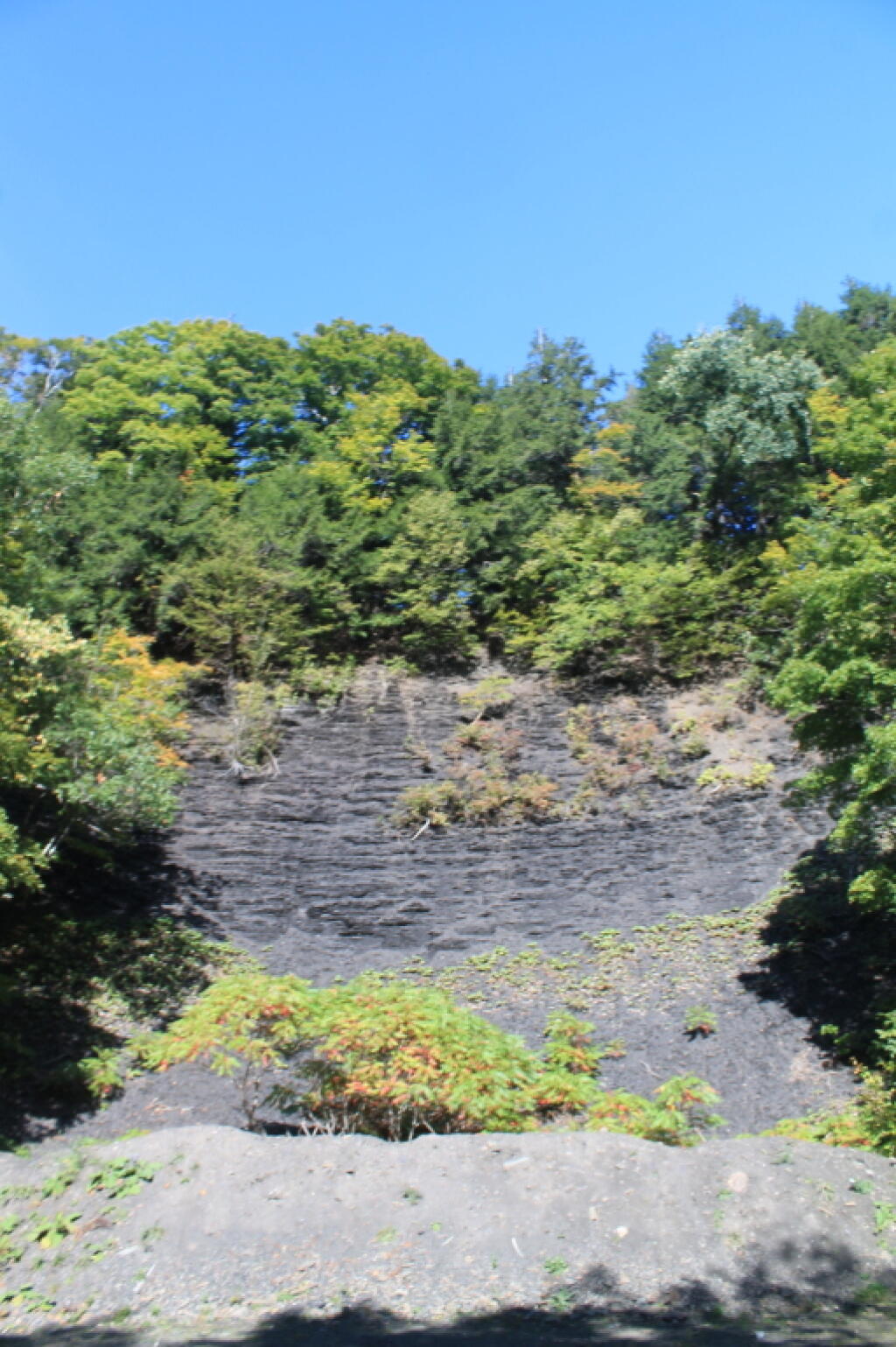Photo: Gorge Wall