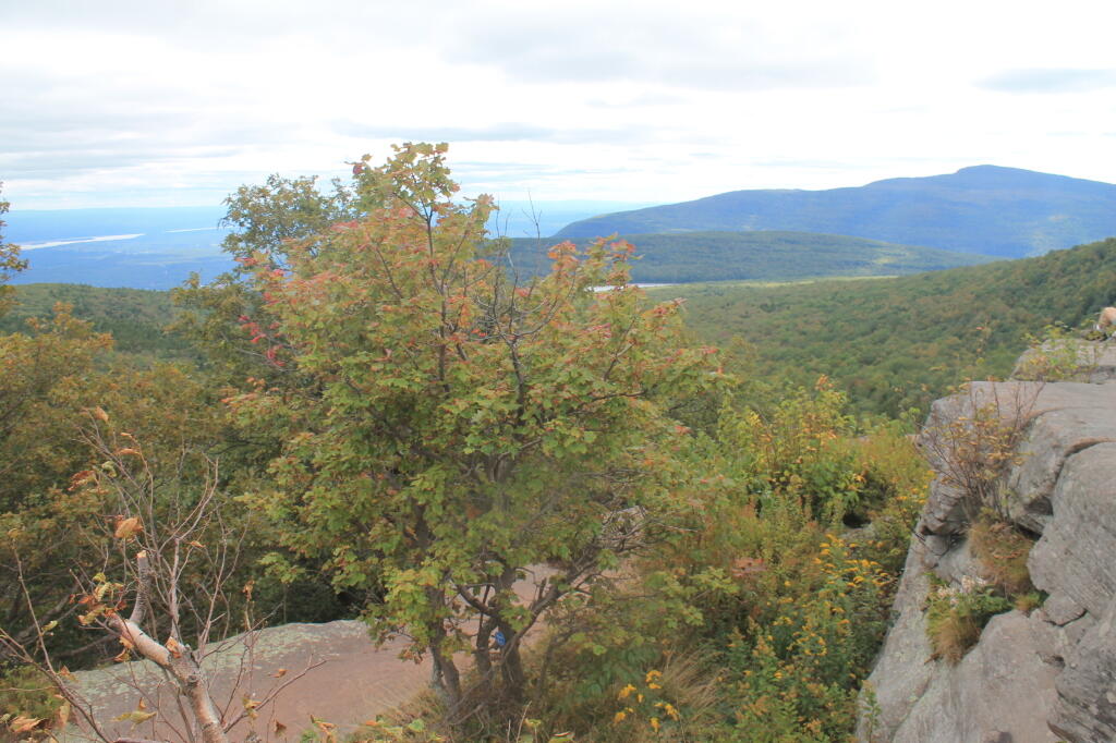 Photo: Edge of North Point