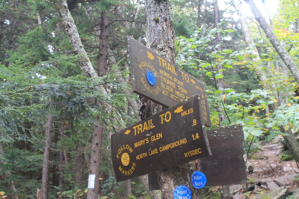Photo: Trail to Mary's Glen Photo: Trail to Mary's Glen