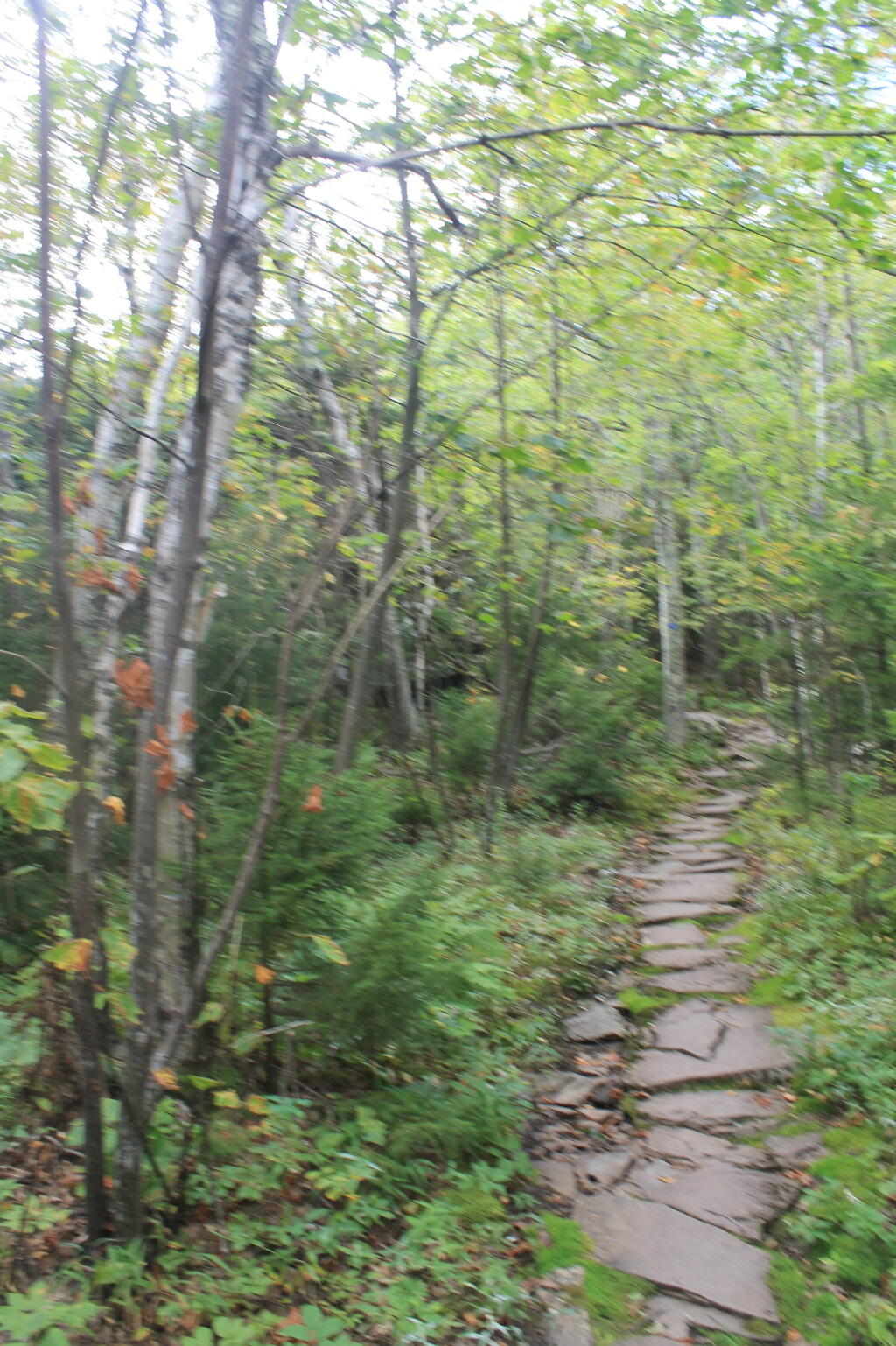 Photo: Stone Walkway Photo: Stone Walkway