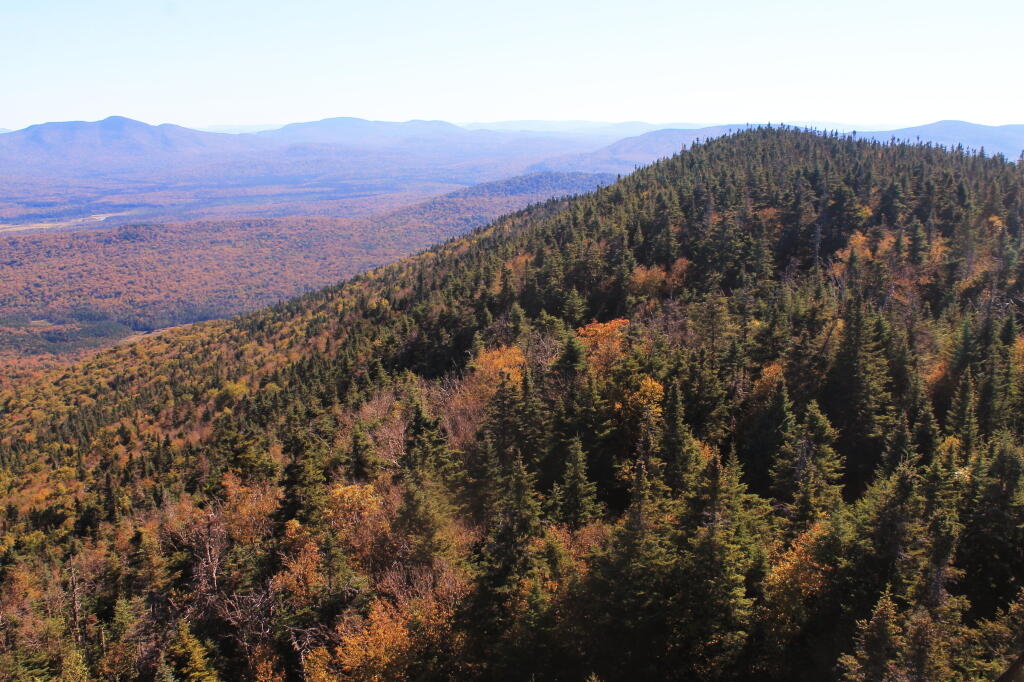 Photo: Cellar Mountain Photo: Cellar Mountain