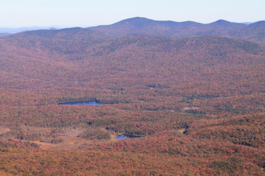 Photo: Little Moose Lake Photo: Little Moose Lake