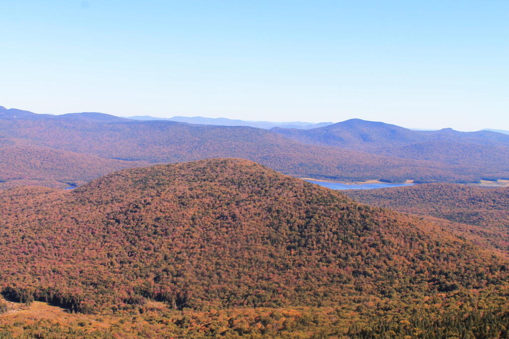 Photo: Payne Mountain is in the Way of My View Photo: Payne Mountain is in the Way of My View