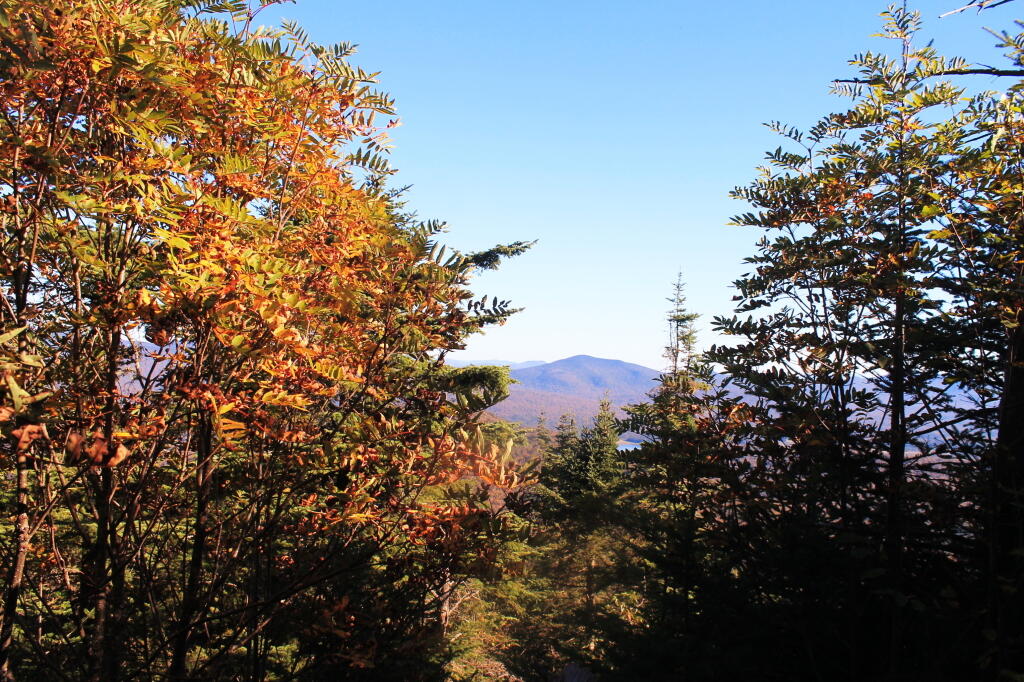 Photo: Colors Turning