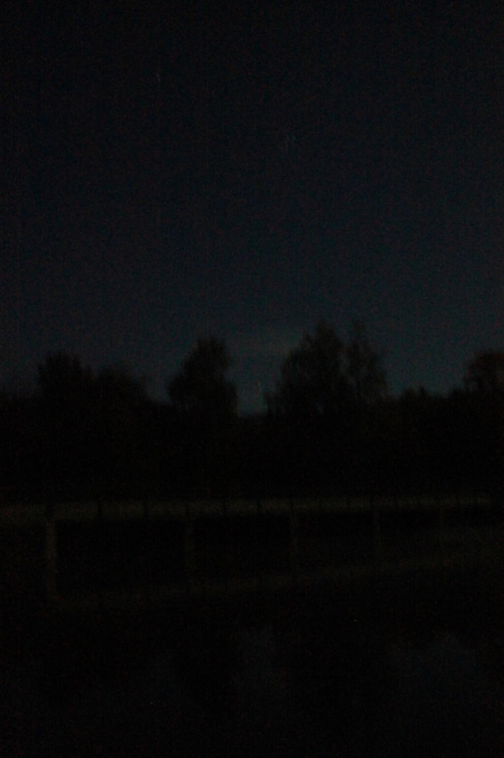 Photo: Nighttime Photo: Nighttime