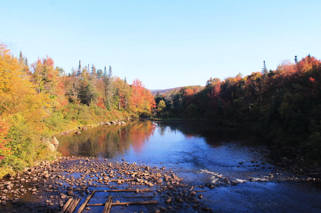 Photo: The Cedar River Photo: The Cedar River