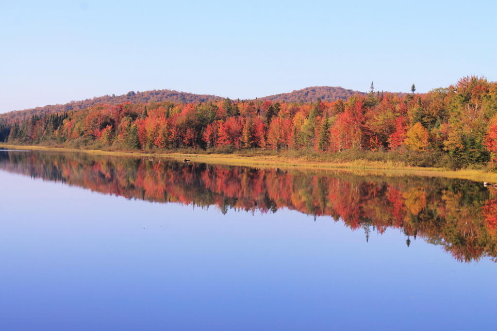 Photo: A Fall Reflection Seen from Wakely Dam Photo: A Fall Reflection Seen from Wakely Dam