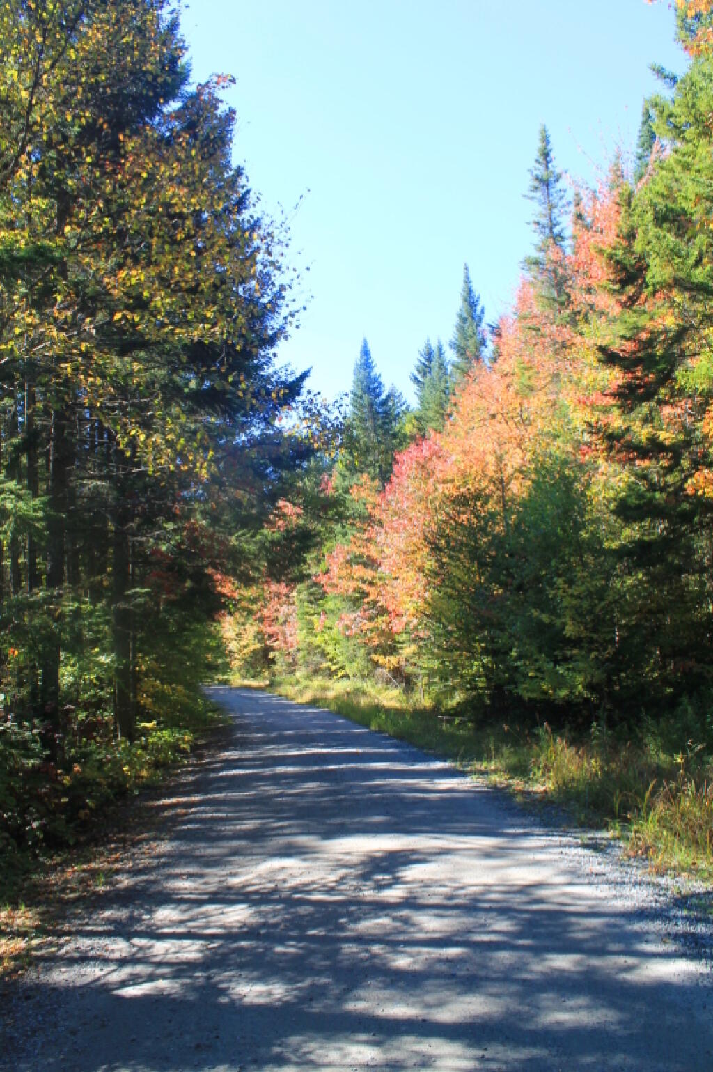Photo: Scenic Driving Last Friday