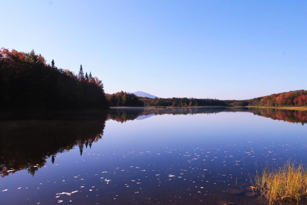 Photo: Cedar River Flow Photo: Cedar River Flow