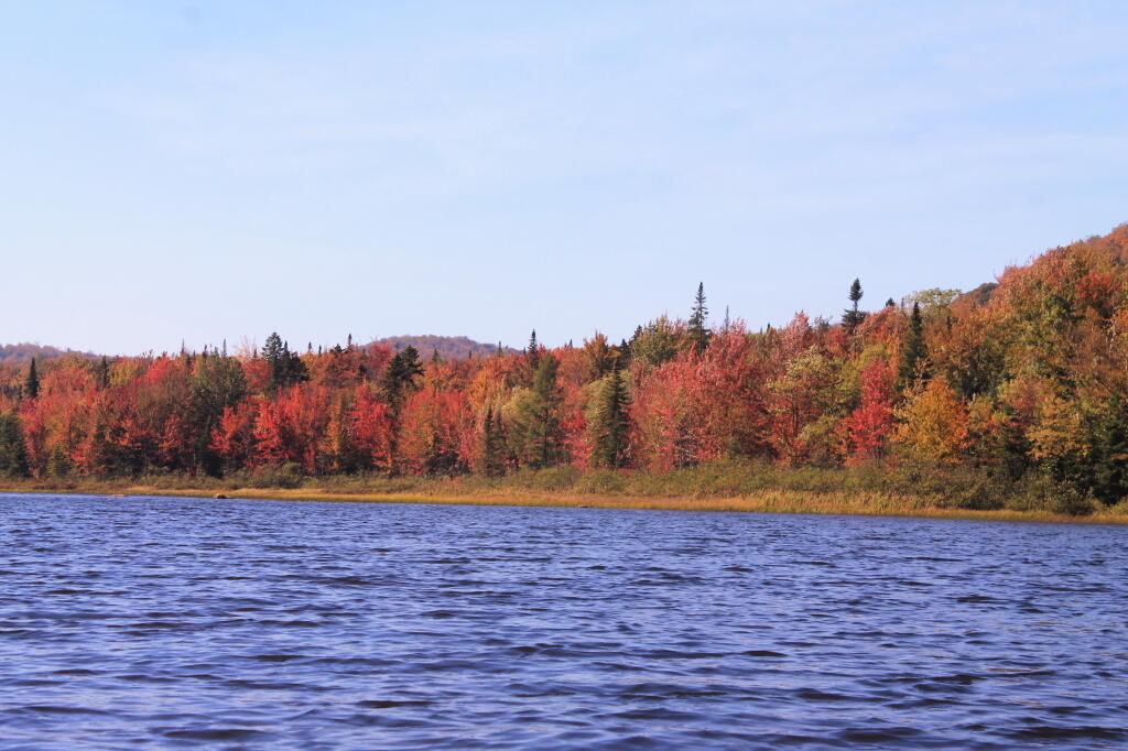 Photo: Shoreline Photo: Shoreline