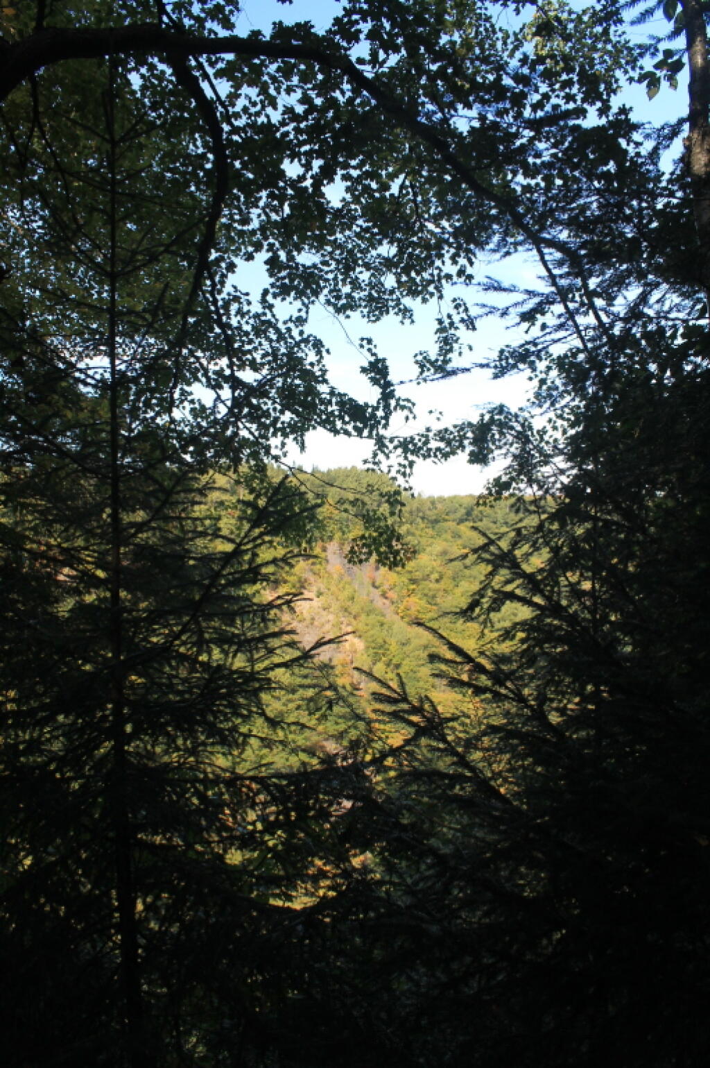 Photo: Into The Gorge From Escarpment Trail Photo: Into The Gorge From Escarpment Trail