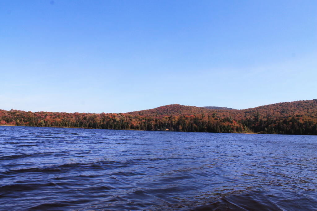 Photo: Across Cedar River Flow Photo: Across Cedar River Flow