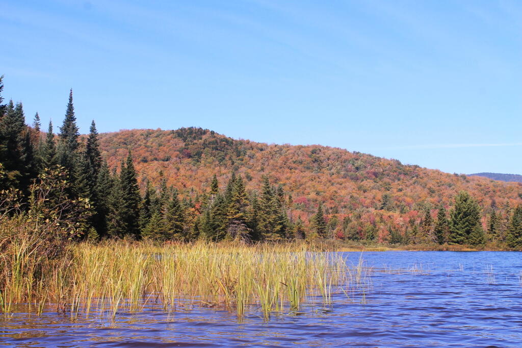 Photo: Sturges Hill Along Cedar River Flow Photo: Sturges Hill Along Cedar River Flow