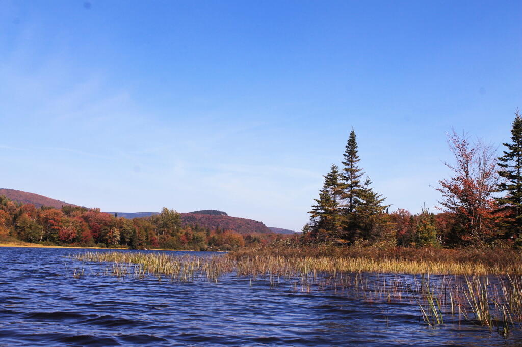 Photo: Sugarloaf in the Distance