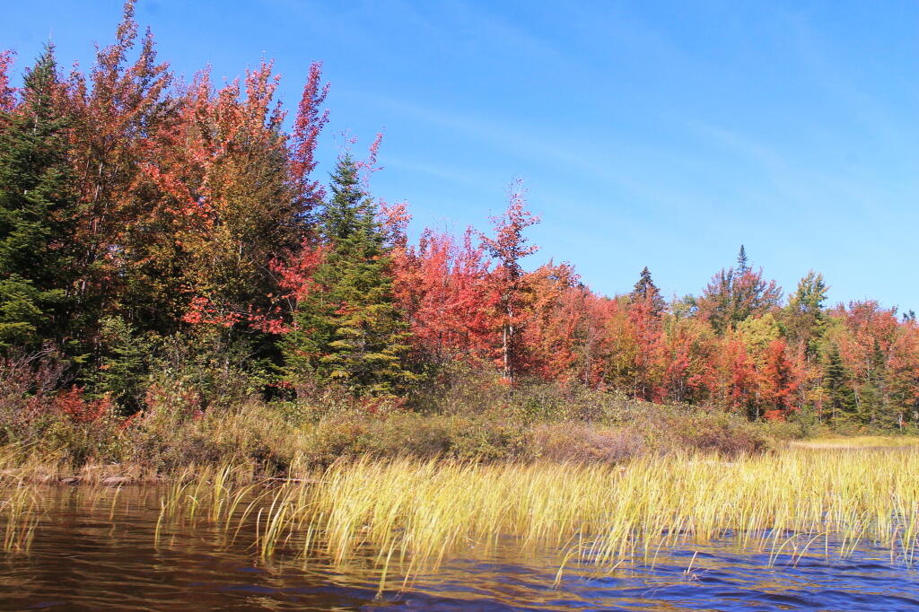 Photo: Fall Colors