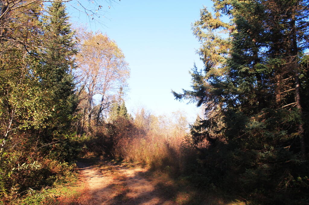 Photo: Campsite 56 on a Beautiful Fall Afternoon