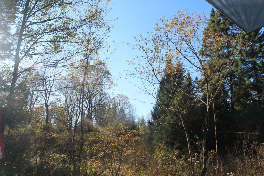 Photo: View of the Plains from Camp