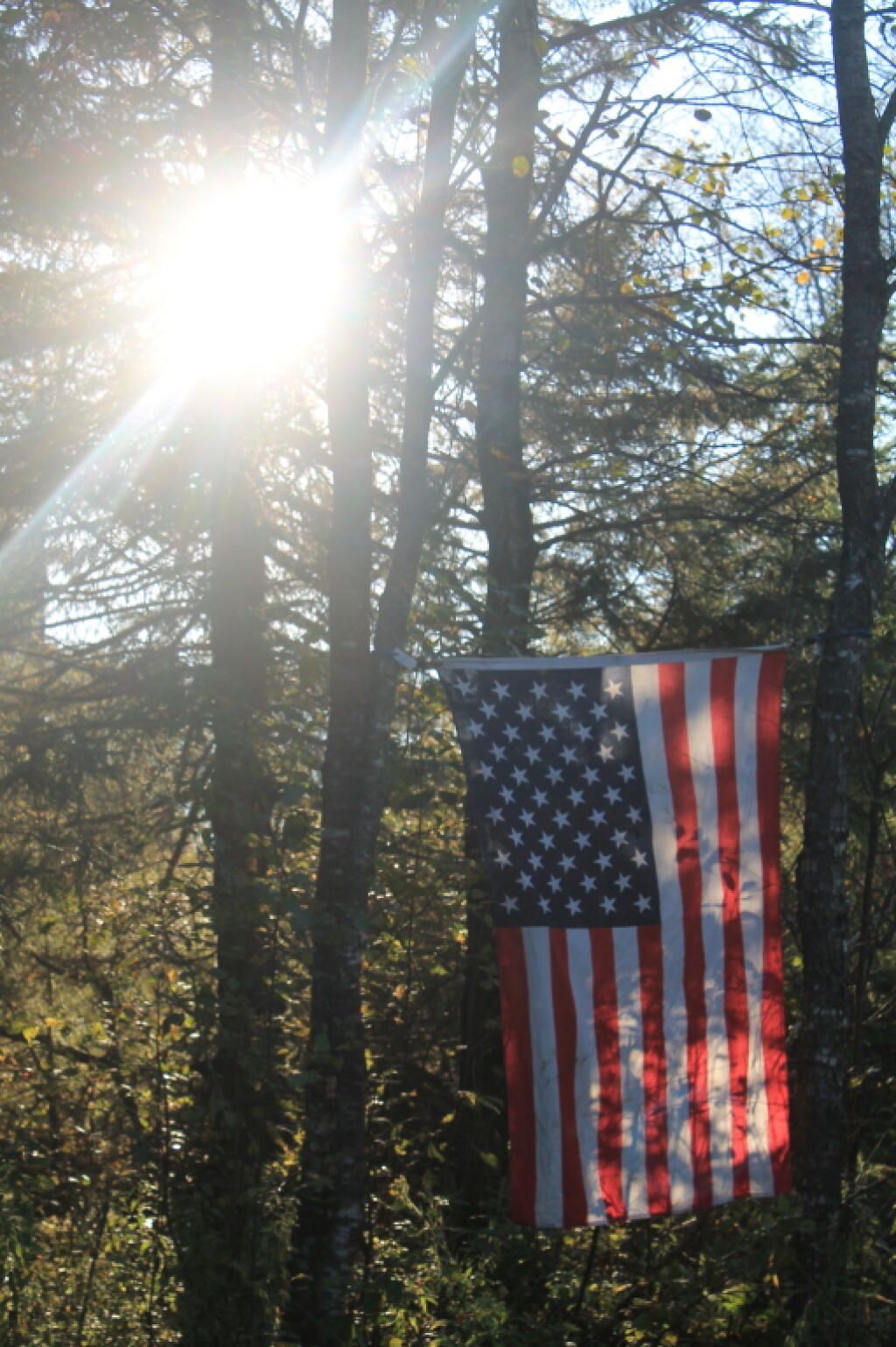 Photo: Sun and Flag