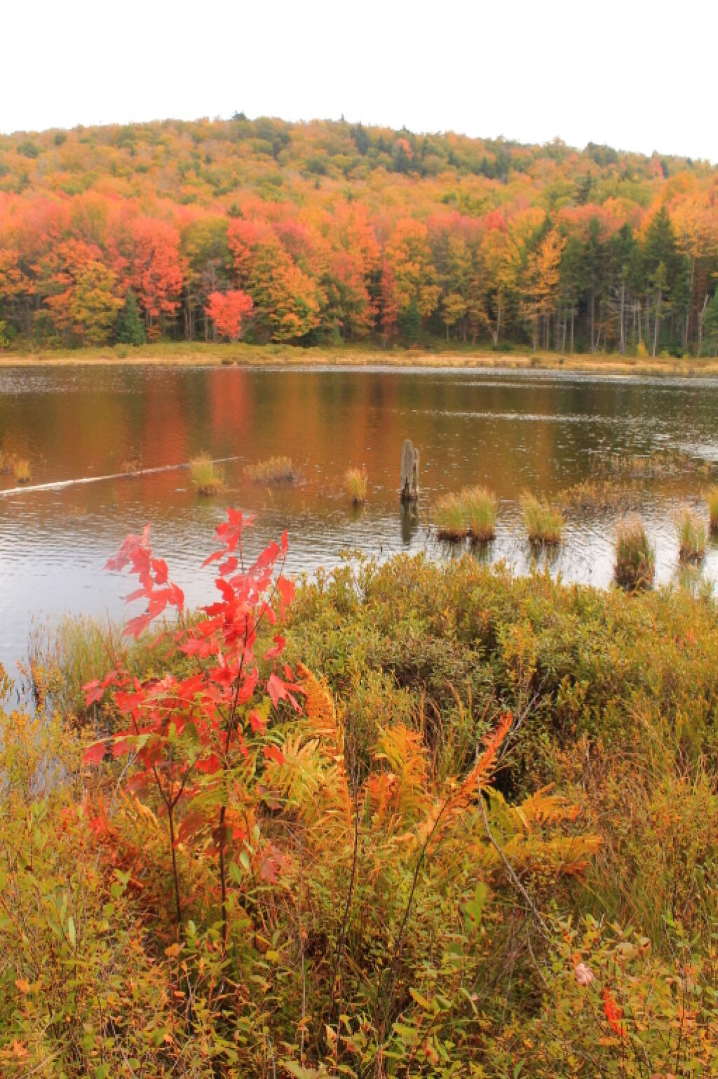 Photo: Across Muskrat Photo: Across Muskrat