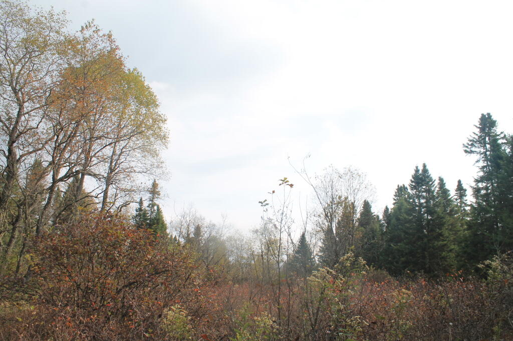 Photo: Clearing Skies To The East