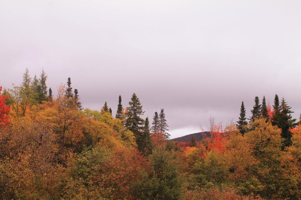 Photo: Cloudy But Colorful Photo: Cloudy But Colorful