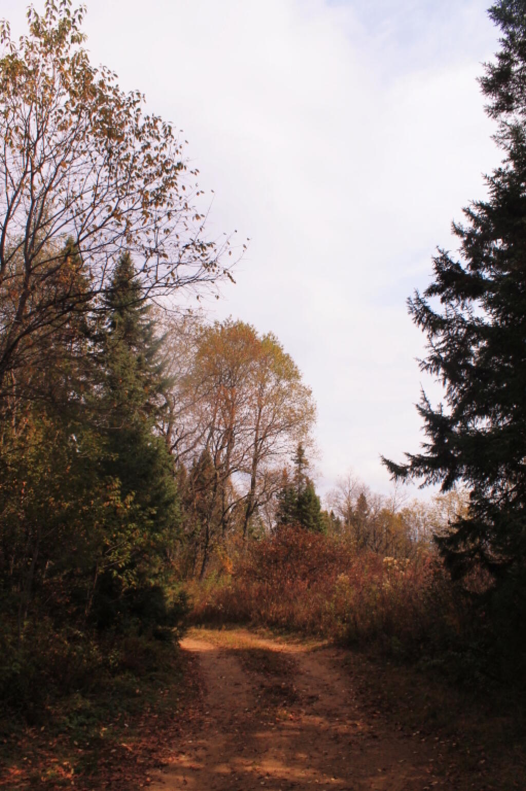 Photo: Driveway Photo: Driveway