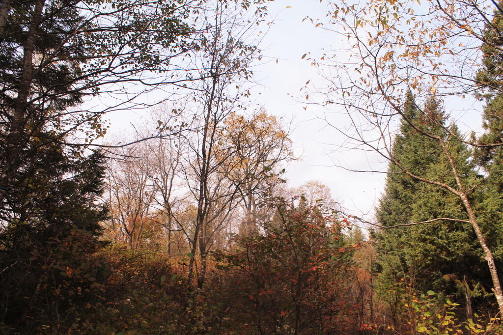 Photo: Finally Blue Skies