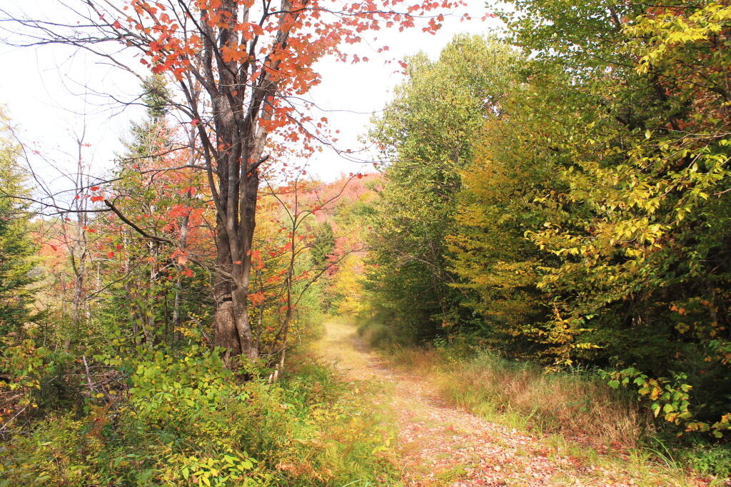 Photo: Former Indian Lake Road Near Indian Lake Photo: Former Indian Lake Road Near Indian Lake