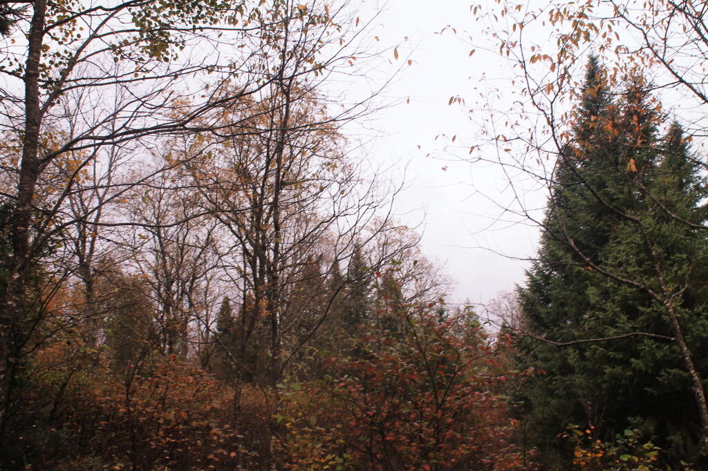 Photo: Gray Start To Sunday
