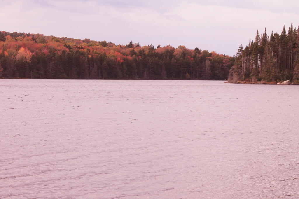 Photo: Indian Lake