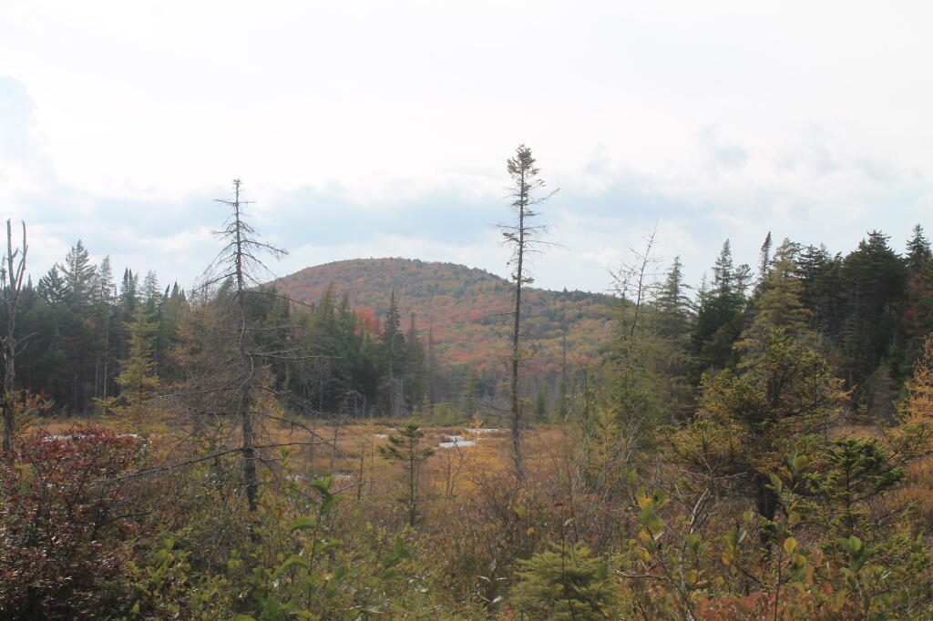 Photo: Indian Lake Mountain From Road