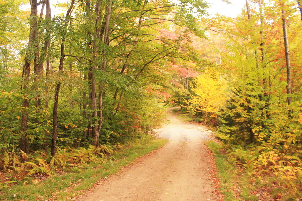 Photo: Indian Lake Near New Terminus Photo: Indian Lake Near New Terminus