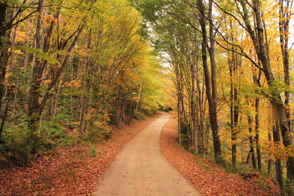 Photo: Indian Lake Road Bends Photo: Indian Lake Road Bends
