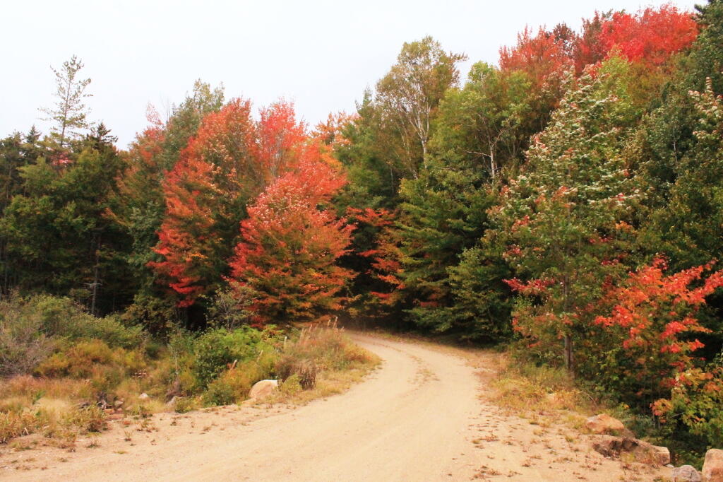 Photo: Indian Lake Road Near Falls Pond Outlet