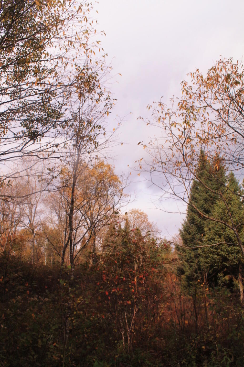 Photo: Is That Blue Sky